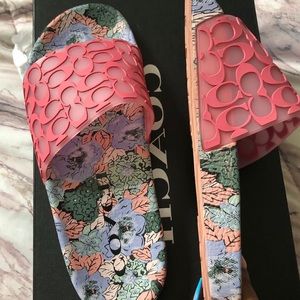 Coach Udele Sport Slides🌸